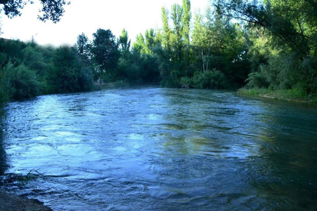 比利亚卡里略Vivienda Rural Mogon-Junto Al Guadalquivir B别墅 外观 照片