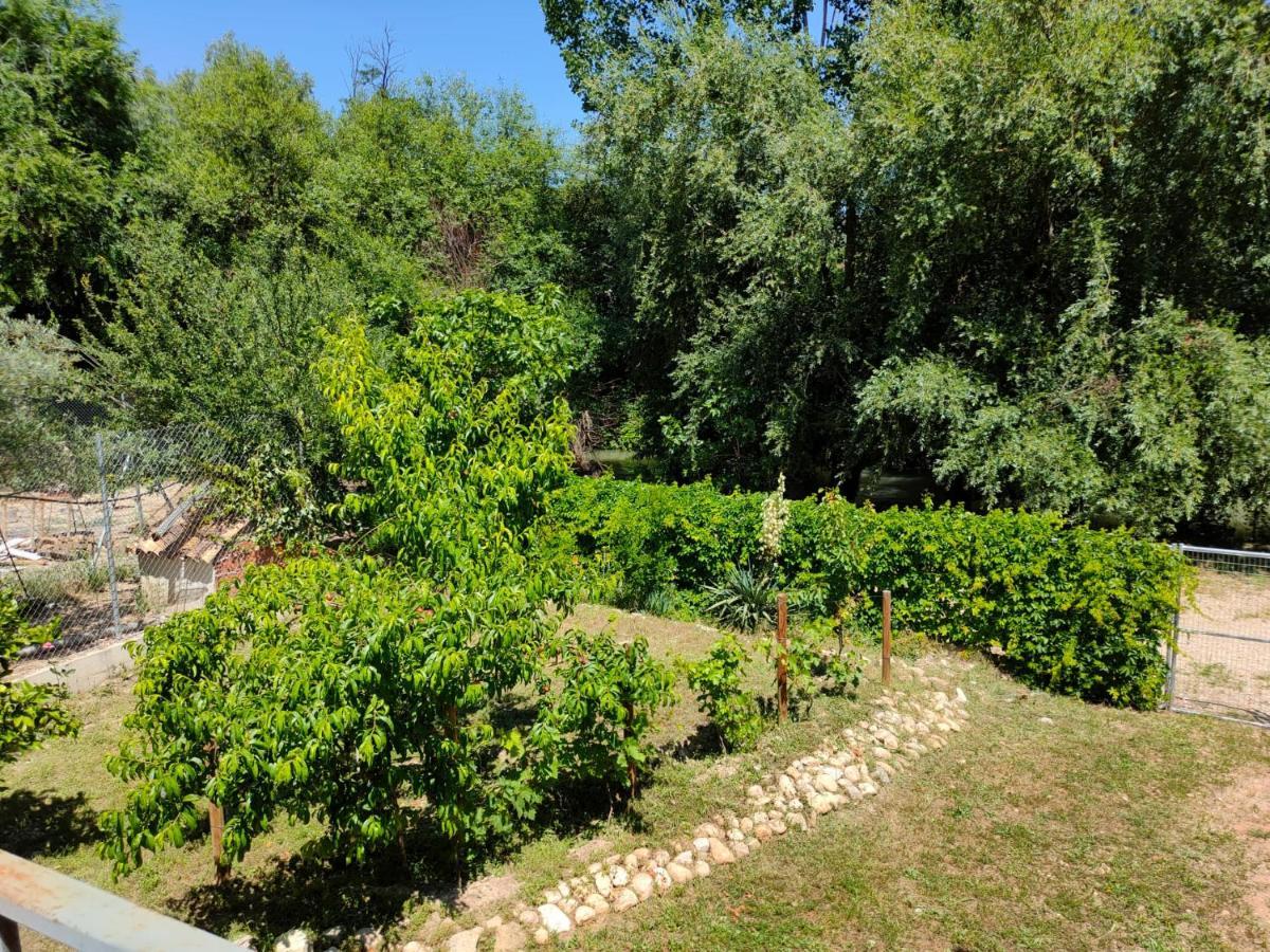 比利亚卡里略Vivienda Rural Mogon-Junto Al Guadalquivir B别墅 外观 照片